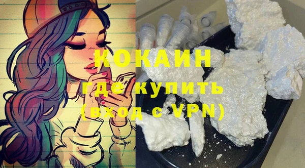шишки Нея