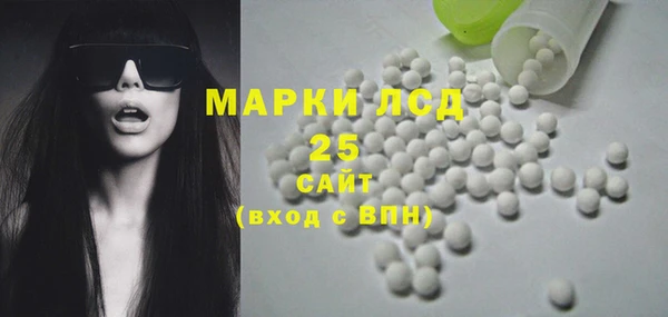 шишки Нея