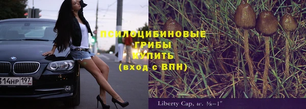соль ск Нефтегорск