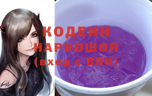 шишки Нея