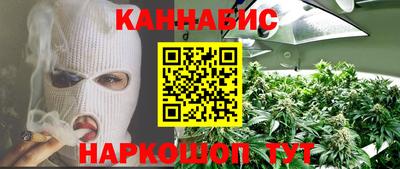 шишки Новокубанск