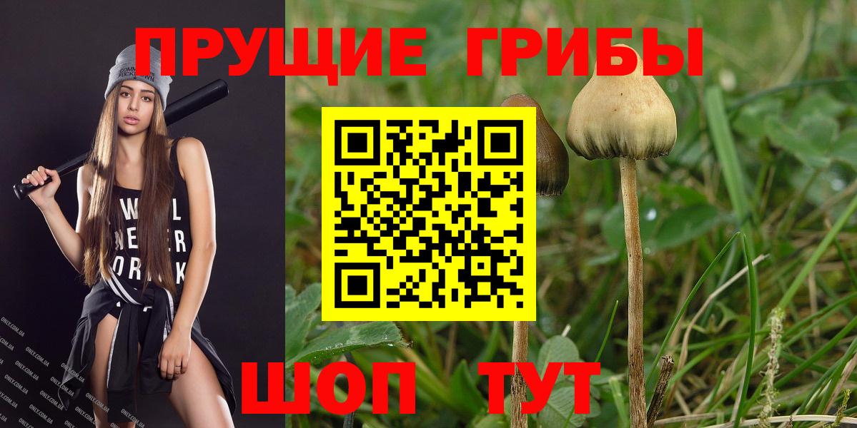 Галлюциногенные грибы GOLDEN TEACHER Черногорск