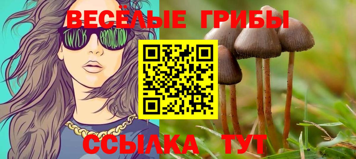 Черногорск  Галлюциногенные грибы мицелий  Вход с VPN 