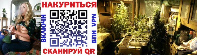 цена   Черногорск  Шишки марихуана VHQ 